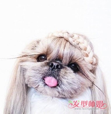 9ͼΪʲôҪͷ ﶼ֪