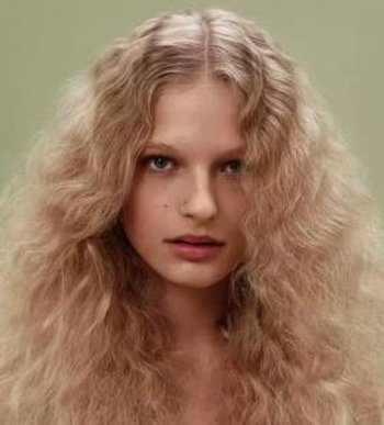 2019Ů̷Ϯ ǰзͱMMӰ