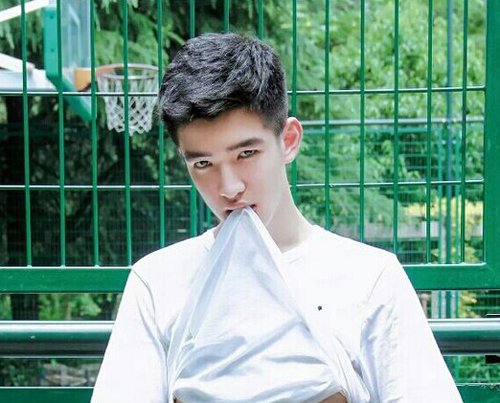 2019ͷȻҪѡƼ ˽ͷͺѡ