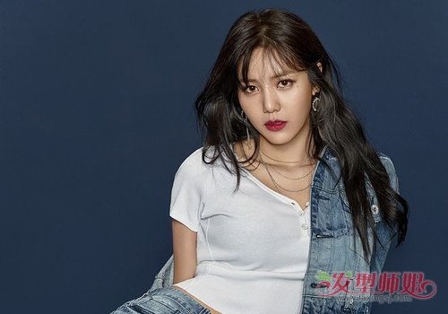 ¶쵰᳤ÿ 2019쵰Ů᳤ŵĲ