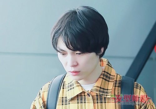 оҪƫͷ 2019ƫ̷ֶƳղ