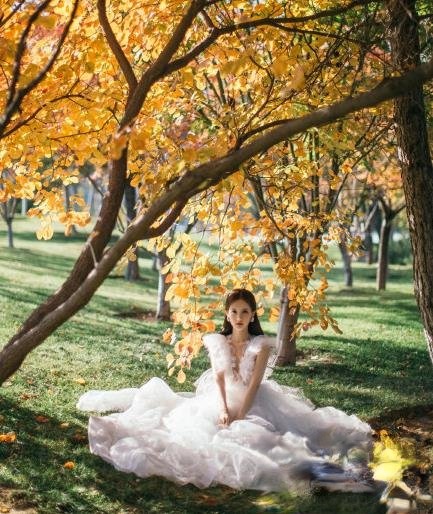 ��һͩ���չ�Ӱ��Ƭ �����λ���������ʮ��_�������з�����Ʒ���ͼƬ�����������Ż���