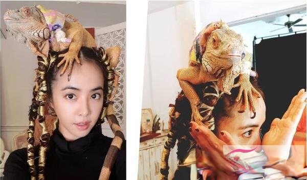 �������·���ͷ�������� ���ų̶��÷�˿ȫ��ɵ